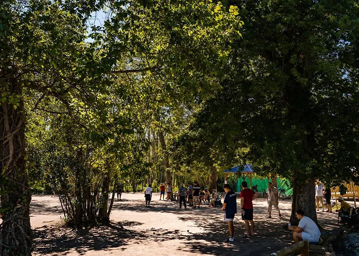 Et Soleil 5 Etoiles A Oleron Empl 170 3ch 1sdb 8 Personnes * Les Sables Vignier